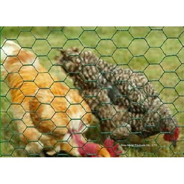 Galvanized Chicken Wire Mesh , Hexagonal Wire Mesh 25-100m Length