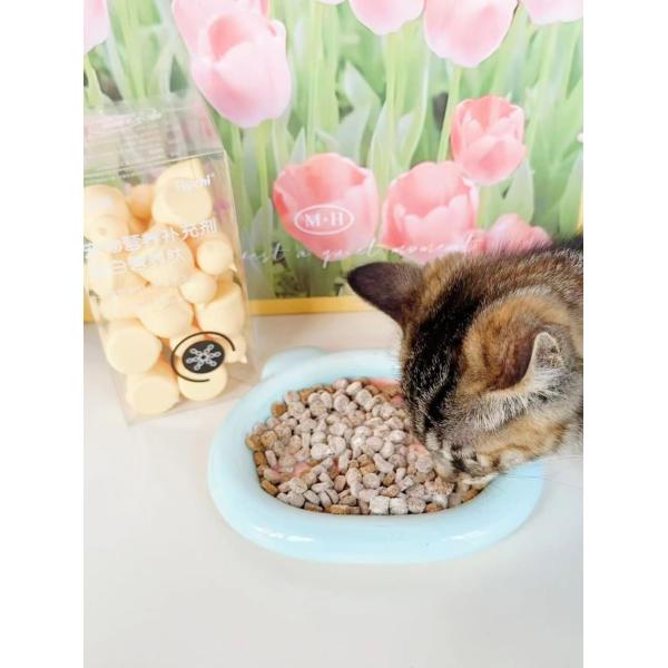 Dog And Cat Pet Supplements Support Immunity Tonify Blood Replenish Trace Elements Vitamins Postbiotics Protein