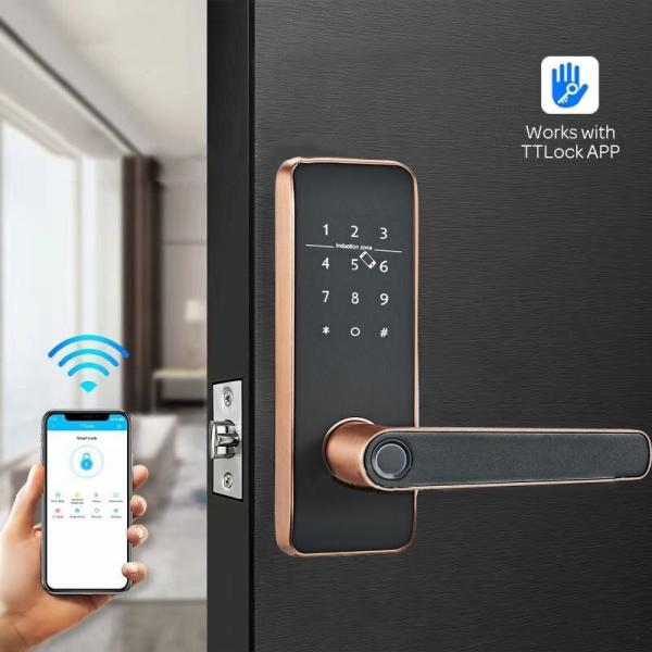 Biometric Deadbolt Smart Fingerprint Door Lock Wooden For Office Homestay Apartment