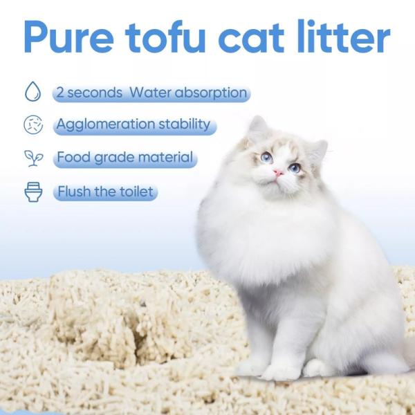 Déodorant pour détritus de tofu pour chats détritus de sable pour tofu BSCI MSDS