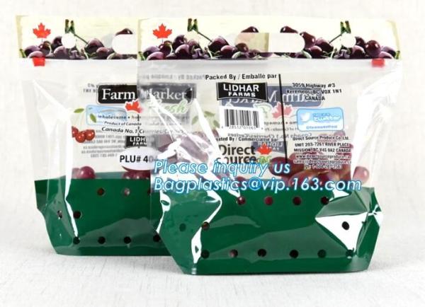 Stand Up Roasted Chicken Packaging Bags With Zip Top hot roast, rotisserie chicken bag, microwaveable bag, slide plastic