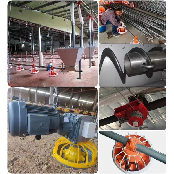Customized Corrosion Resistant Poultry Farm Ventilation System with Hot-Dip Galvanized Steel and Easy Assembly