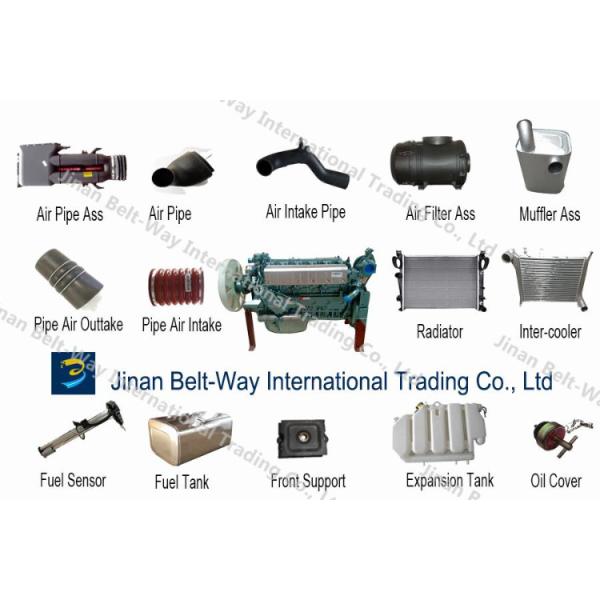 Sinotruk HOWO WG9231342006 Tambour de frein arrière avec support de paiement en USD