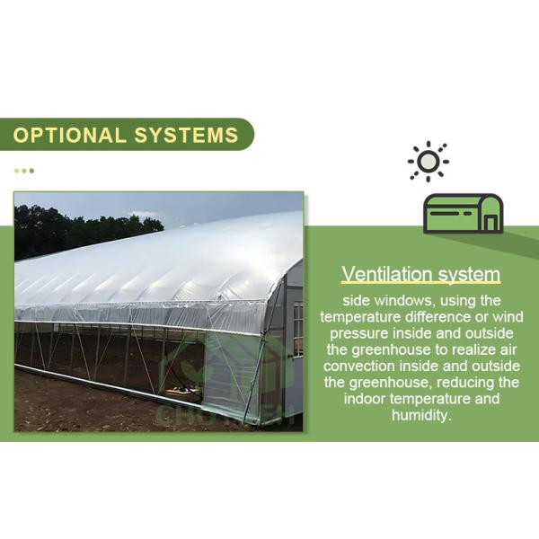 Hot Dip Glavanized Steel Polytunnel Greenhouse 10X30m Single Span