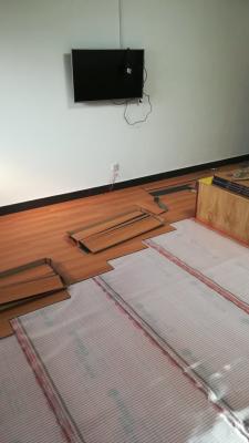 Energy Saving Carbon Heating Film Comprehensive Fever For Melting Snow