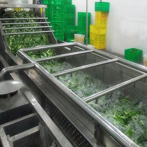 Cadena de producción automática de la limpieza de la burbuja de aire de la fruta de la ensalada modificada para requisitos particulares