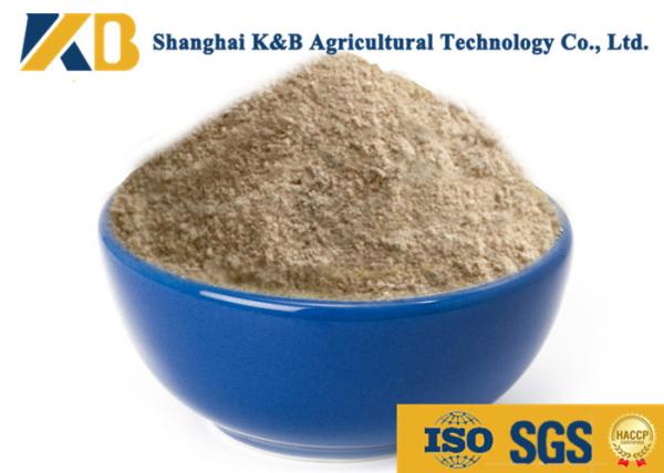 Natural Plant Based Protein Powder / Rice Protein Nutrition No Agglomeration