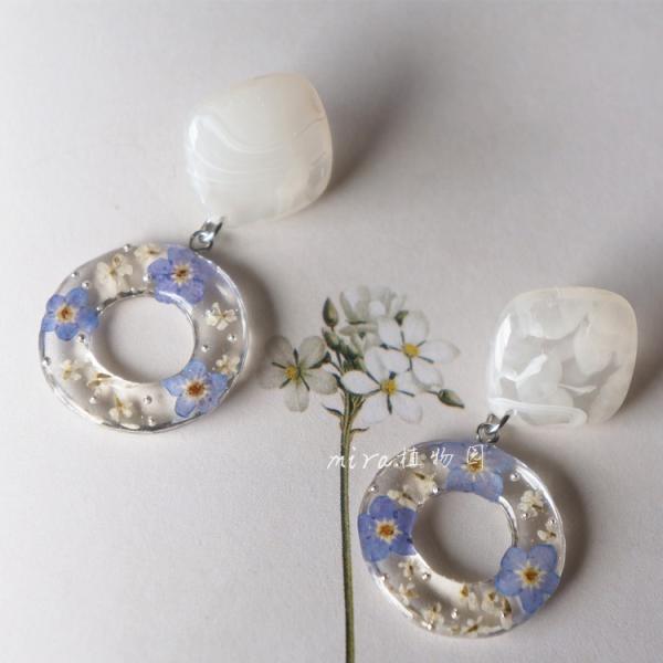 Forest's Eyes Real Eucalyptus Leaves Ice Transparent Clip And Stud Earrings Women Fashion