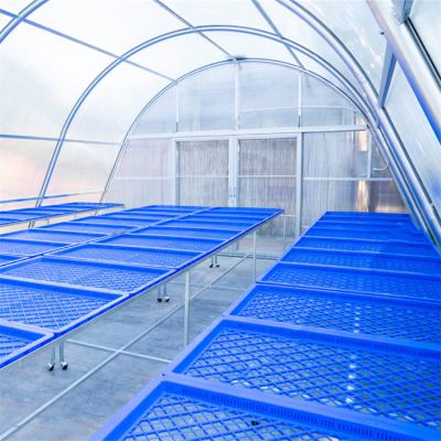 Polytunnel Agricultural Greenhouse Drying Greenhouse For Vegetables Fruit and Fish