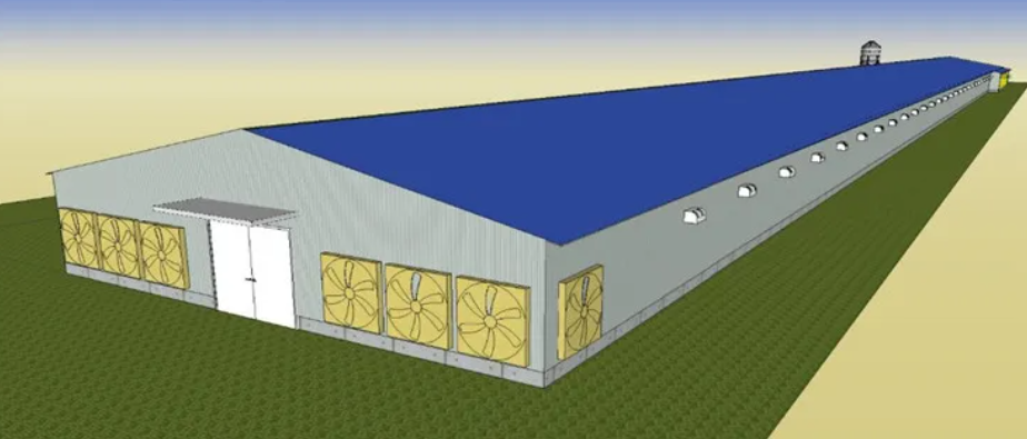 Hot-dip Galvanized Steel Poultry House with 30 Years Warranty and Customizable Dimensions