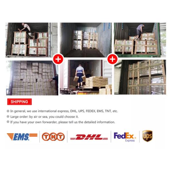 Zinc Finish Furniture Cabinet Shelves Pin Suction Cup Plastic Shelf Support Pegs for Glass