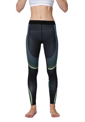 CPG Global Women's Seamless Gym Fitness Steamline Black Sport Pants Yoga Leggings HK40