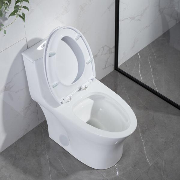 Dual Flush One Piece Elongated Toilet Matt Black S Trap