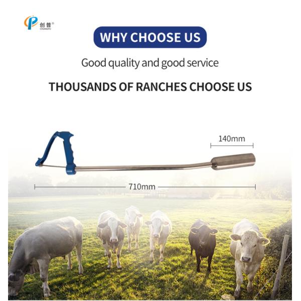 710*140mm Cow Balling Gun 0.95kg 304ss Strong Durable