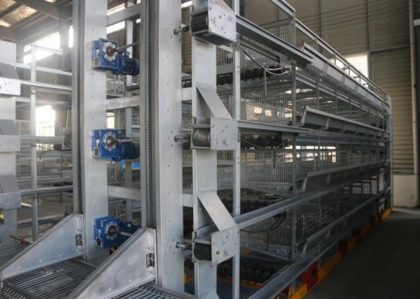 High Tech Poultry Cage  System / Cage Holding Poultry Easy Daily Management