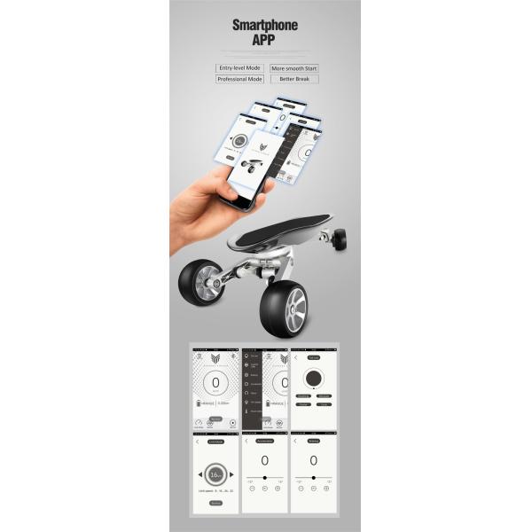 4 Wheel Boosted Electric Skateboard Electric Battery 36v/8.8Ah For Adults