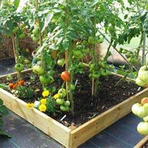 6 x 33 feet Sheet Woven Weed Control Fabric - Stabilized Black Heavy Duty 3 oz/yd² Landscape Ground Cover Membrane