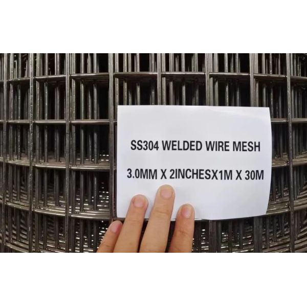 Wholesale Cheap Welded Wire Mesh Stainless Steel Welded Wire Mesh