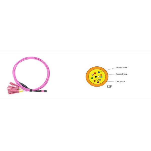 12 Fibers MPO-LC Fiber Optic Cable OM4 2.0mm Straight Harness for High-Density Data Centers