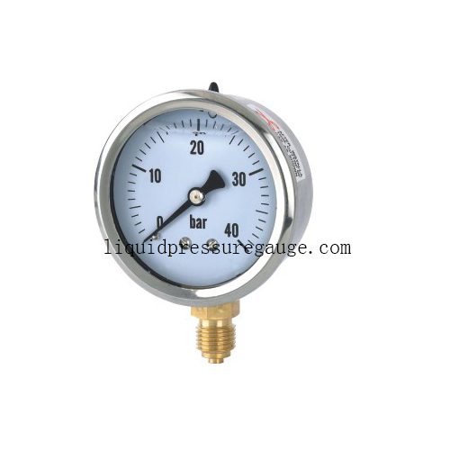 1/4'' BSP 63mm 2.5'' Glycerin Pressure Gauge  40 Bar Stainless Steel Case