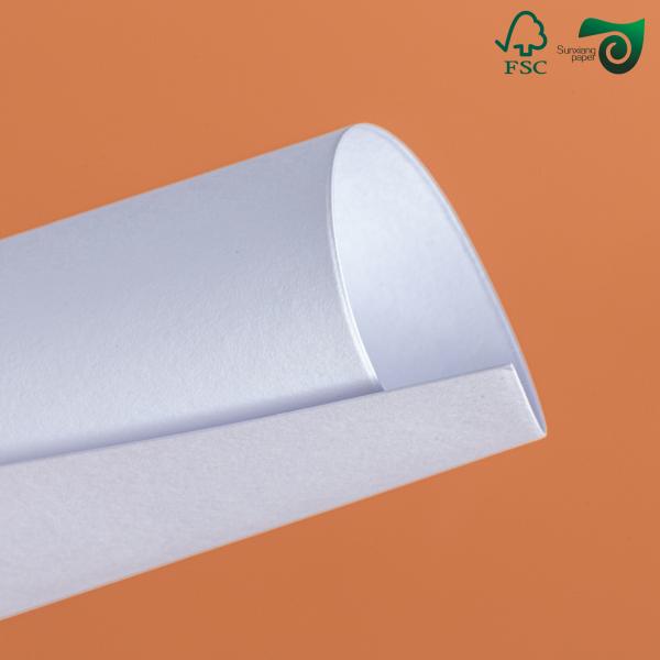 PET Film Coated High Temperature Resistant White Cardboard For Microwave Safe Baking Trays