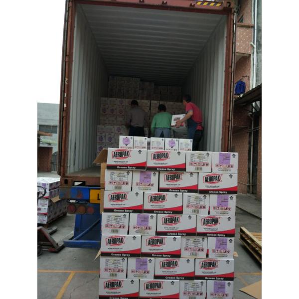 Уборщик частей тормоза заботы автомобиля AEROPAK более чистые и костюм тавота заботы автомобиля автомобиля