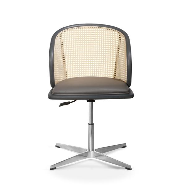 Le bureau exécutif sophistiqué de rotin préside le décalage 3d de palette de 45