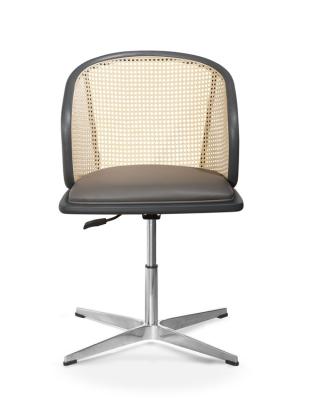 O escritório executivo sofisticado do Rattan preside o deslocamento 3d da pá de 45 x 50 x 42 milímetros