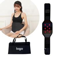 11 Kinds of Energy Stones with 8pcs Photon Lights PEMF Belt for Waist