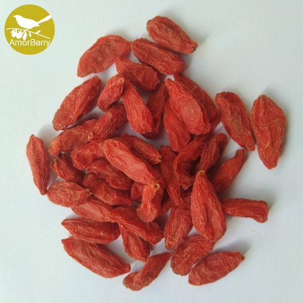 Himalayan Goji Berry new crop Certified High Quality Lower price Dried Organic and Low agricultural residues Goji berry