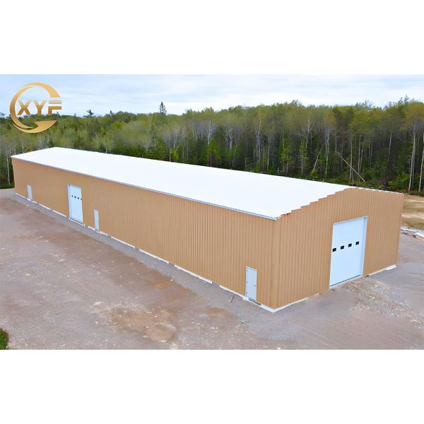 Hot Selling Metal Frame Steel Structure Warehouse Workshop Hangar Building Without Middle Columns