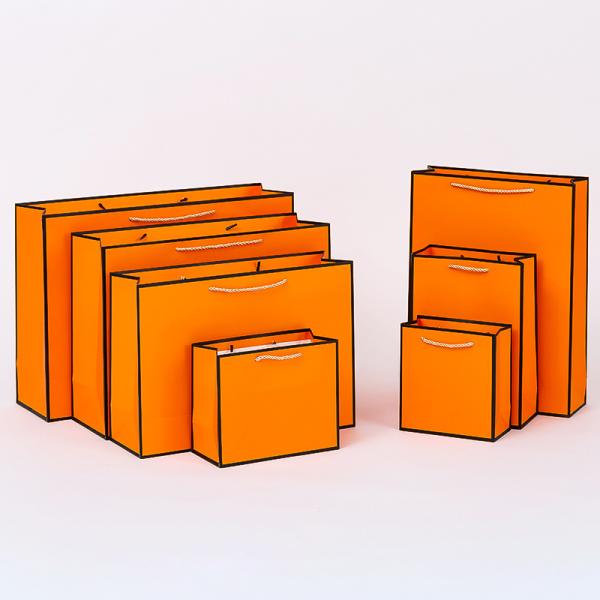 Напечатанный по заказу размер Эко-бумажная подарочная упаковка Торговые сумки Поставщики обуви Одежда