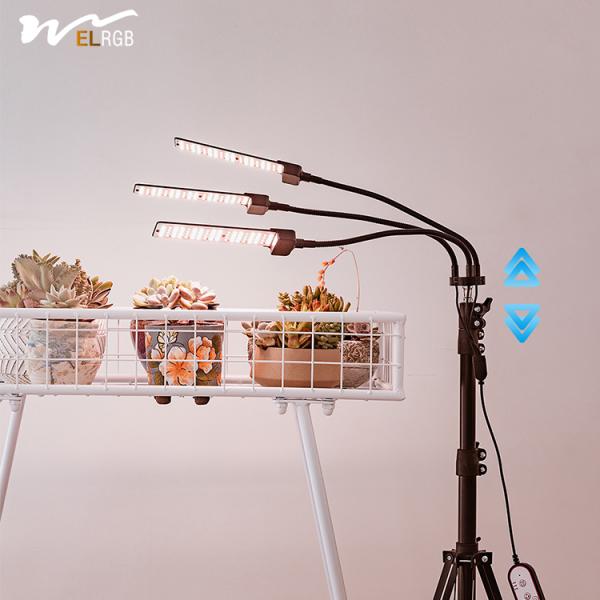 50000 Hours Working Time Full Spectrum Light for Indoor Green Plants Imitation Sunlight