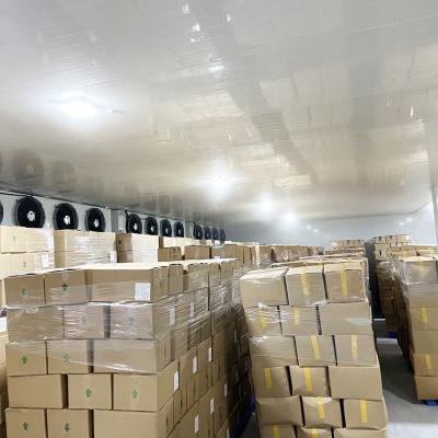 Small Vegetable/ Fruit/ Meat Chiller Type Walk in Freezer Cold Storage Cool Refrigeration Room