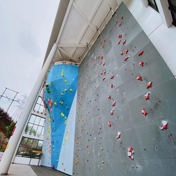 5-10 Passageiros Indoor Outdoor Bouldering Rock Climbing Paredes Para Adultos