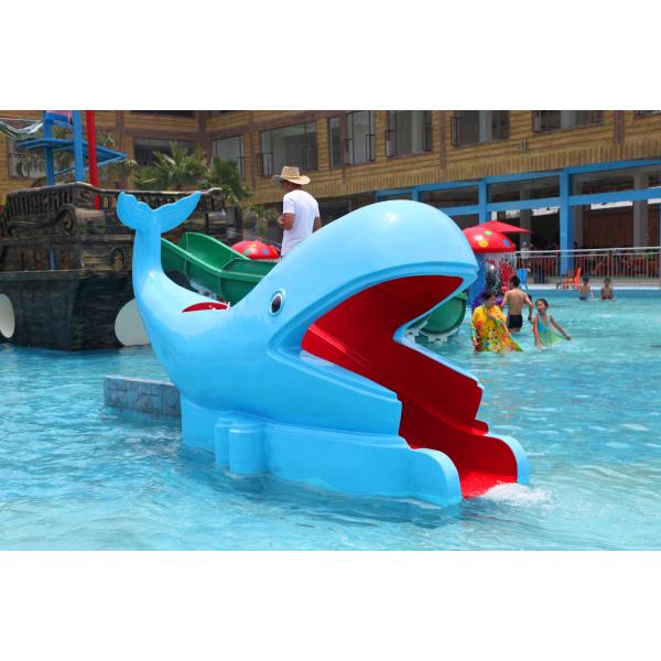 Outdoor Water Park Whales Cartoon Shape Kids Pool Whale Water Slides CE SGS VISON WATERPARKS