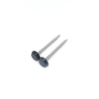 A4 gris anthracite 50MM de noir de l'acier inoxydable Ring Shank Plastic Head Nails