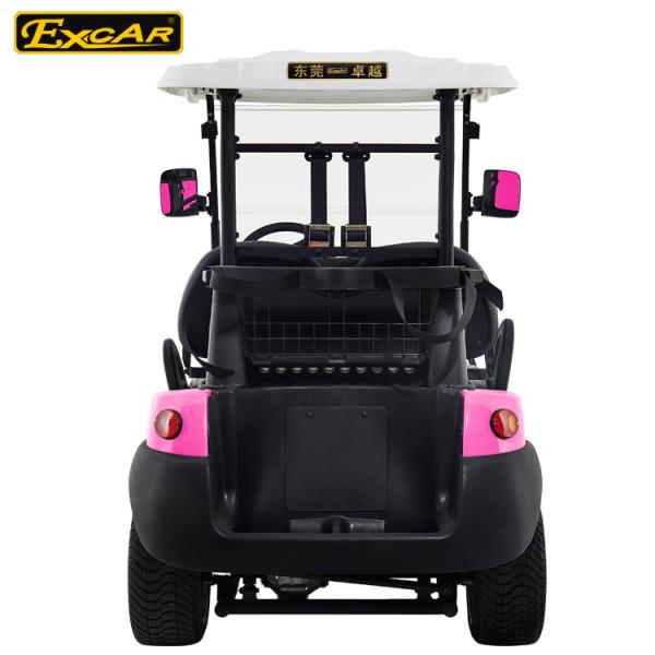 Зеленого цвета автомобиля гольф-клуба подвеса весны управляемая батарея переднего мини