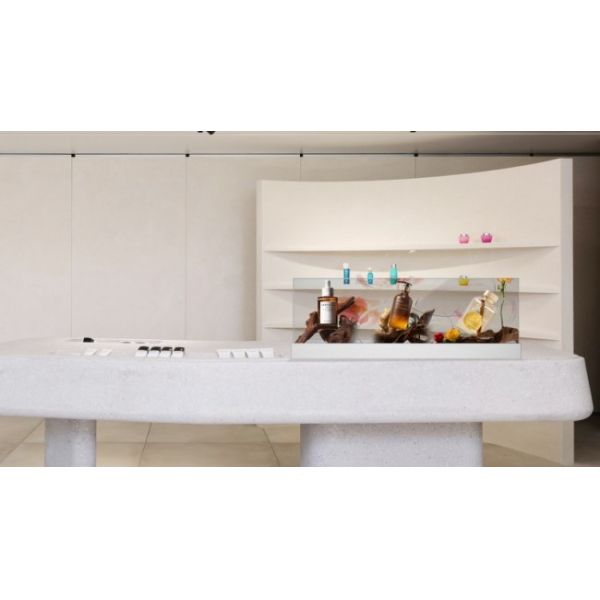 48 Inches Embedded Desktop Frameless transparent oled (tv-oled) displays Digital Signage