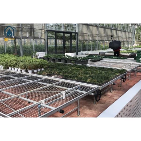 Agricultural Tunnel Greenhouse Industrial Hydroponic System Greenhouse For Tomato And Cucumber