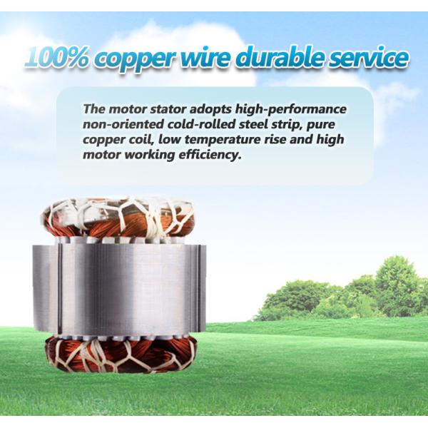 Водяная помпа литого железа автоматическая, центробежная собственная личность сосать головы насоса электрические 30