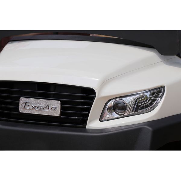 8 Front Seats & 3 Rear Electric Golf Buggy 48V Lithium Battery AC Motor Steel Chassis 25km/h Speed