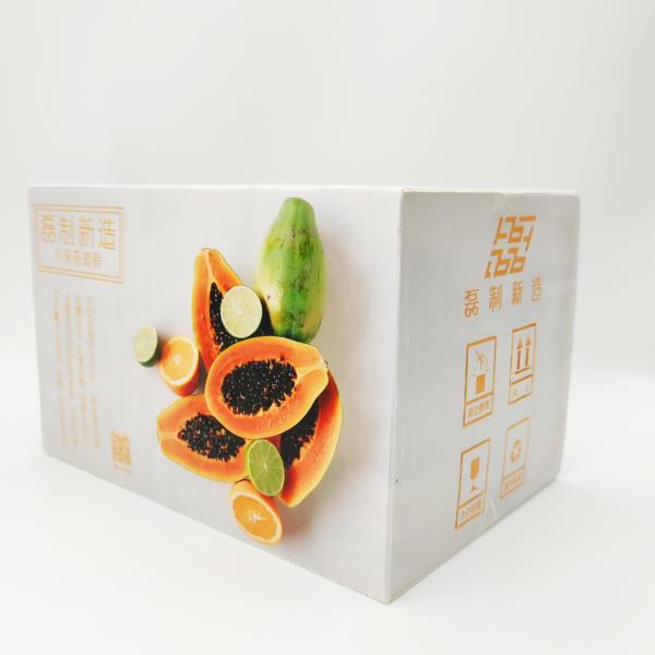 4C Fruit Packaging Corrugated Plastic Carton Recyclable Anti-Rodent
