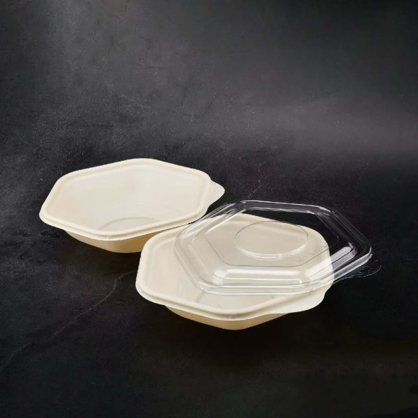 New Hexagonal Salad Takeout Box Launch | Trendy Insta-style Light Meal Container
