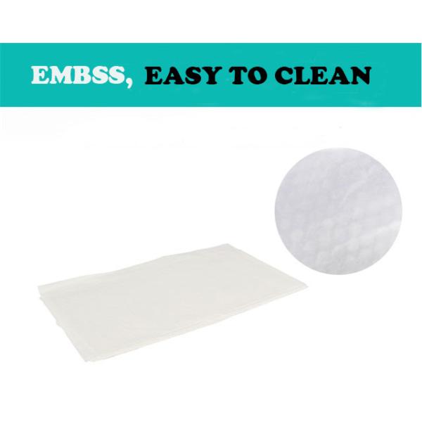 Вашклотхс Кикаблес салонов красоты сухие/печатание логотипа сухих Випес Флушабле