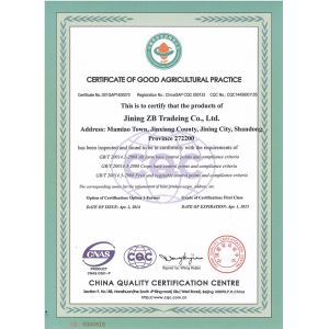 Jinxiang Huatai Fruits and Vegetables,I/E CO.,LTD Certifications