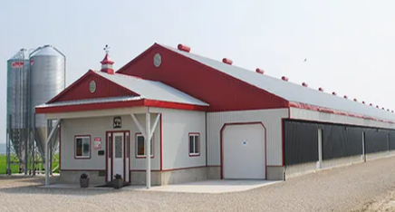 Prerfabricated Steel Structure Layer Chicken House Poultry Shed Construction