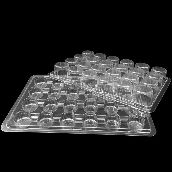 Customized Plastic Bakery Packaging Blister 24 Count Cupcake Containers