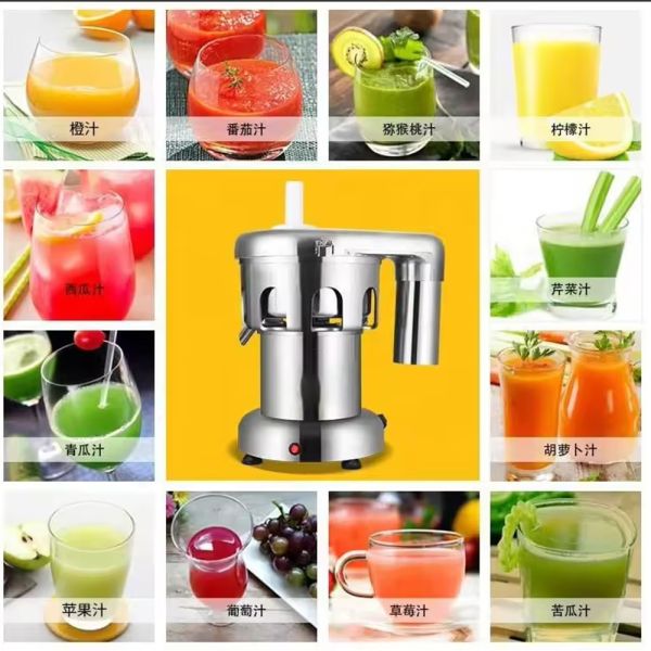 Customized Commercial Juicer with Pulp Retention Fruit and Vegetable Juicer Stainless Steel Industrial Juicer 220V 370W Apple Orange Pear Banana Fruit Juicer