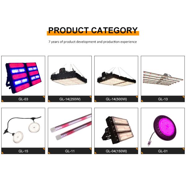 600w HPS 4x4 Grow Light Лампа растений способствует цветению и плодоношению